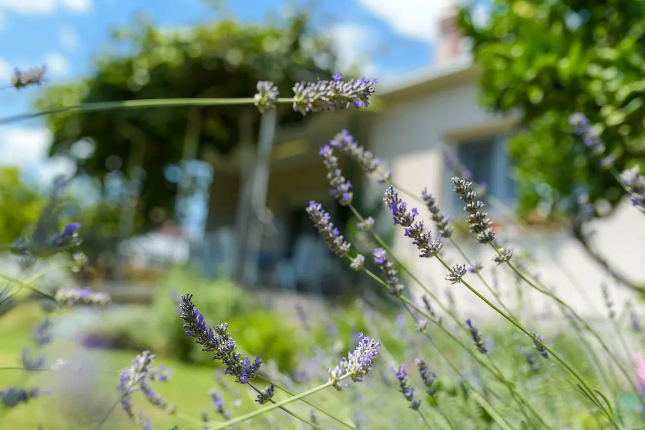 Vacation House Bile Kastela Holiday home