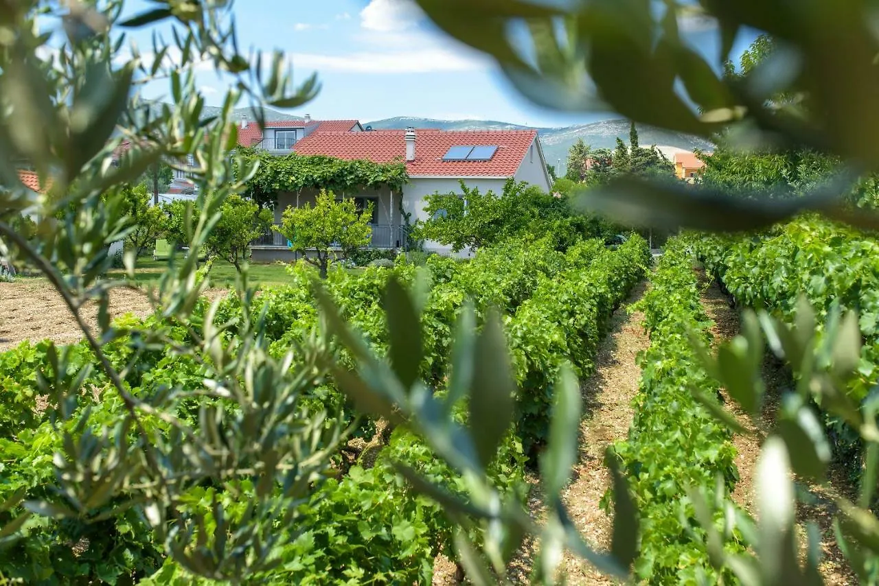 Vacation House Bile Kastela Croatia